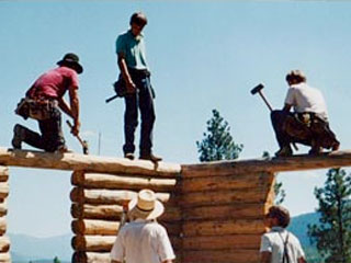 Classic Amish Crew