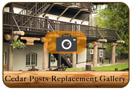 Lake McDonald Lodge Cedar Post Replacement